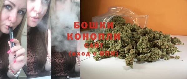 дживик Аркадак