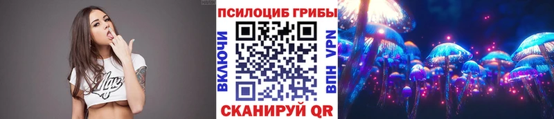 наркота  Ирбит  Галлюциногенные грибы GOLDEN TEACHER 